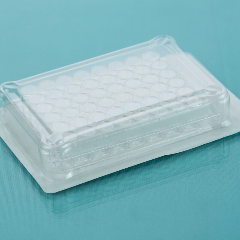 Cell Culture Plate, Flat Bottom