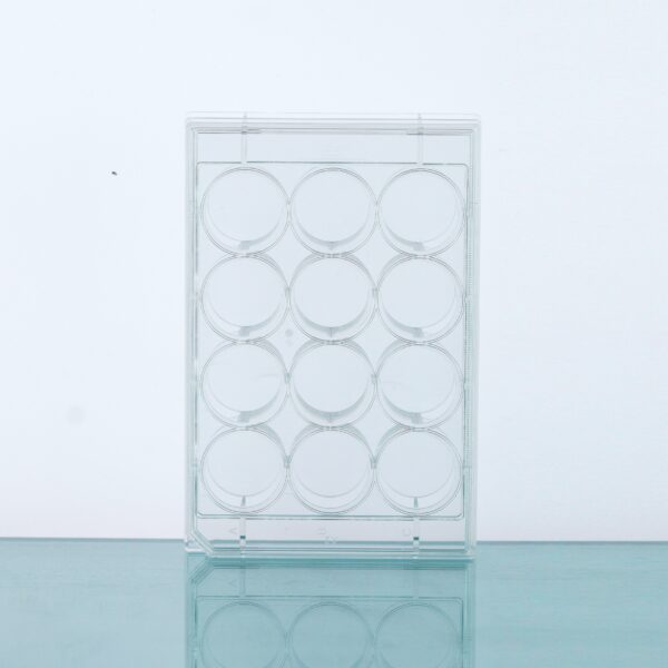 Multiwell Cell Culture Plates, Flat Bottom, TC, Sterile
