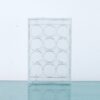 Cell Culture Plates, Flat Bottom