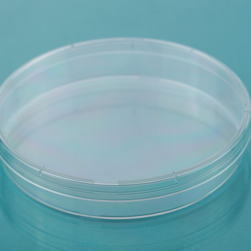 Cell Culture Dish