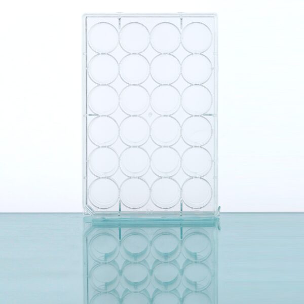 Multiwell Cell Culture Plates, Flat Bottom, TC, Sterile