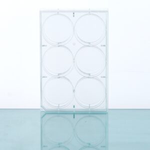 Multiwell Cell Culture Plates, Flat Bottom, TC, Sterile