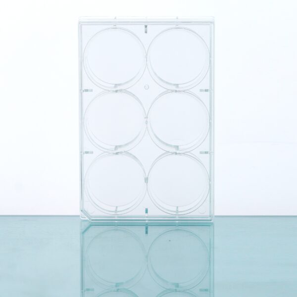 Multiwell Cell Culture Plates, Flat Bottom, TC, Sterile