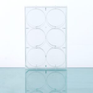 6 Well Cell Culture Plate-flat bottom-703001-703011-703002-703012 (1) Multiwell Cell Culture Plates, Flat Bottom, TC, Sterile