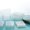 Multiwell Cell Culture Plates, Flat Bottom, TC, Sterile