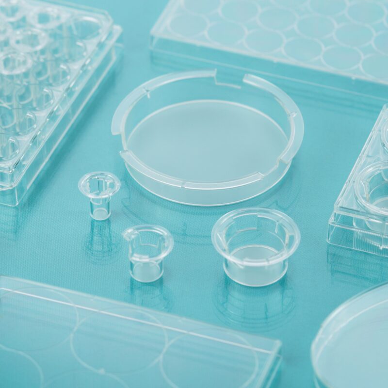 DSC095751 Cell Culture Inserts, Tissue Culture Treated, PC/PET Memberane