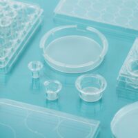DSC095751 Cell Culture Inserts+Plates Configuration, PC Membrane