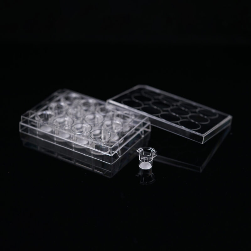 PC12 Well Cell Culture Insert-plate-0.4μm PC membrane-724101-724111 Cell Culture Inserts, Tissue Culture Treated, PC/PET Memberane