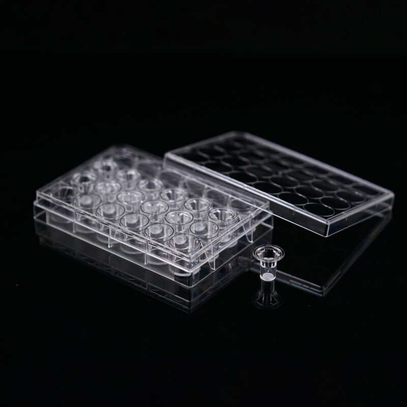 PET24 Well Cell Culture Insert-plate-0.4μm PET membrane-725121-725131 Cell Culture Inserts, Tissue Culture Treated, PC/PET Memberane