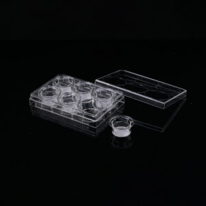 PET6 Well Cell Culture Insert-plate-0.4μm PET membrane-723121-723131 Cell Culture Inserts, Tissue Culture Treated, PC/PET Memberane