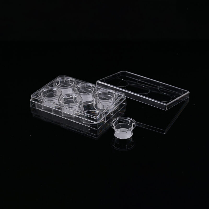 PET6 Well Cell Culture Insert-plate-0.4μm PET membrane-723121-723131 Cell Culture Inserts, Tissue Culture Treated, PC/PET Memberane