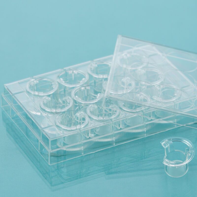 Cell Culture Inserts+Plate Configuration, PC Membrane