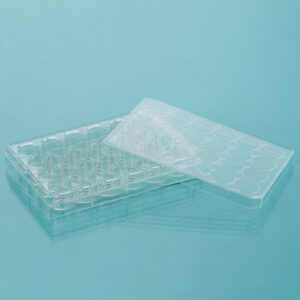 Glass Bottom Cell Culture Dish & Plate