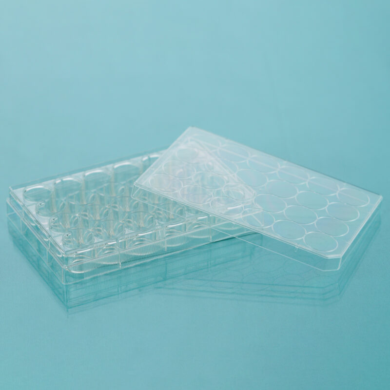 Glass Bottom Cell Culture Dish & Plate