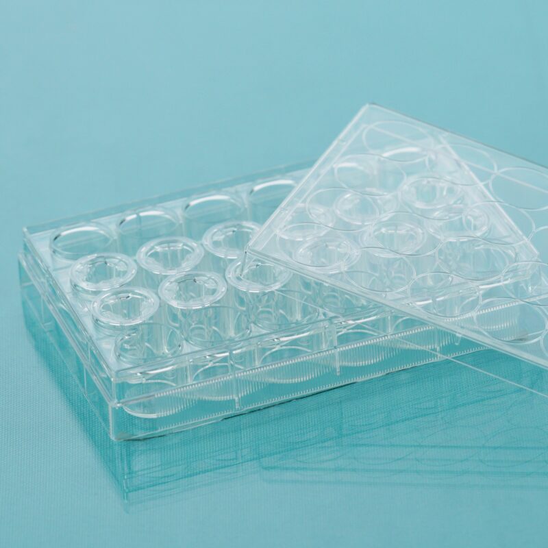 Cell Culture Inserts+Plate Configuration, PC Membrane