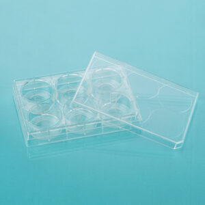 Glass Bottom Cell Culture Dish & Plate
