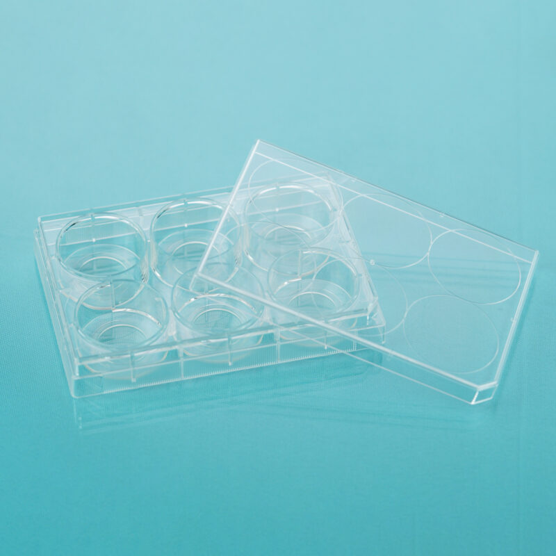 Glass Bottom Cell Culture Dish & Plate