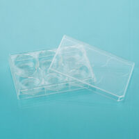 Glass Bottom Cell Culture Dishes & Plates