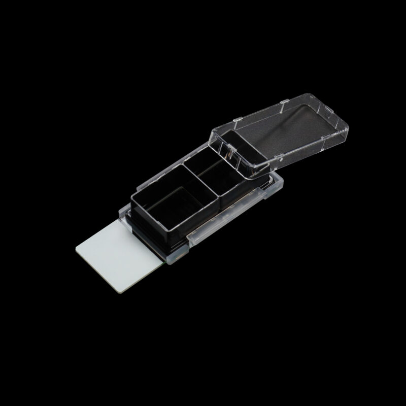 Cell Culture Slide