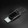Cell Culture Slides