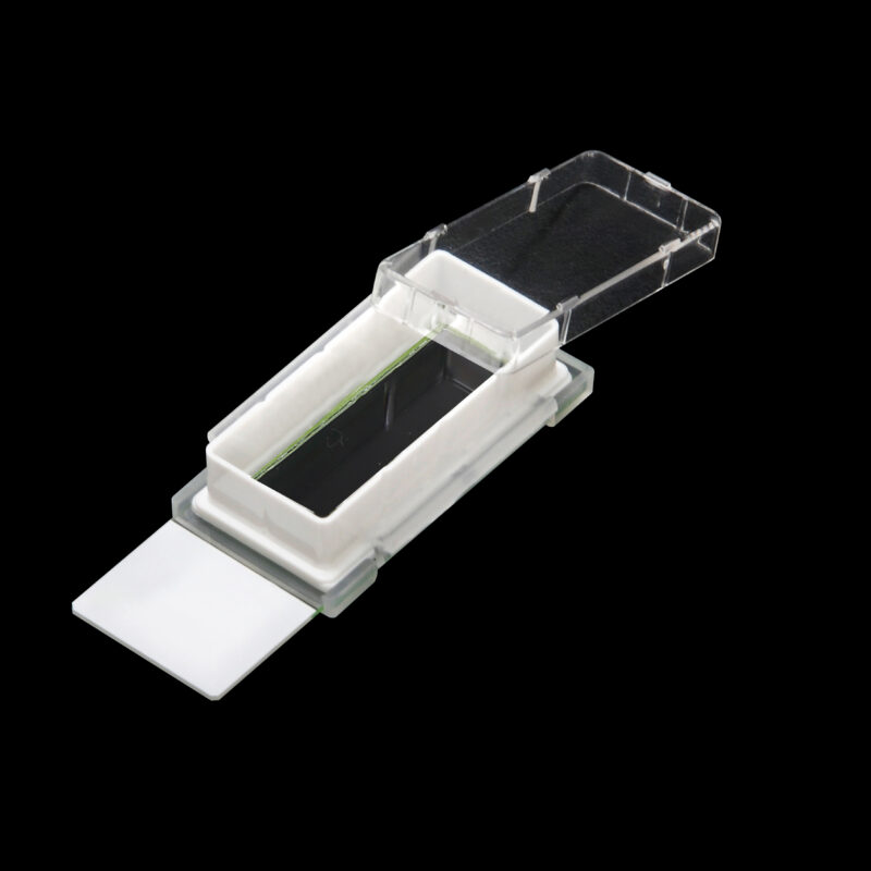 Cell Culture Slide