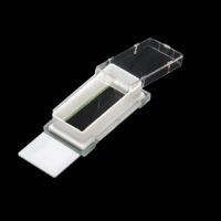 Cell Culture Slides