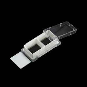 Cell Culture Slide
