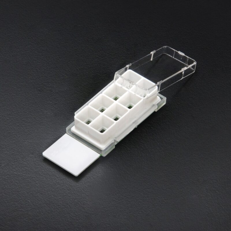Cell Culture Slide