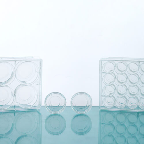 Glass Bottom Cell Culture Dish & Plate