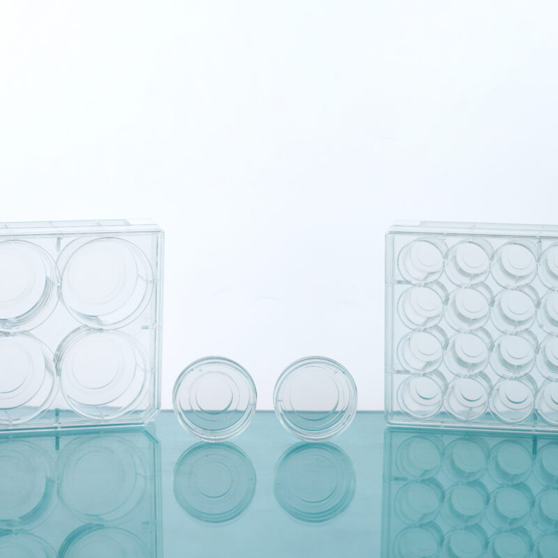 Glass Bottom Cell Culture Dish & Plate