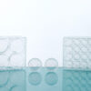 Glass Bottom Cell Culture Dishes & Plates