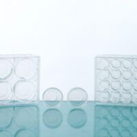 Glass Bottom Cell Culture Dishes & Plates